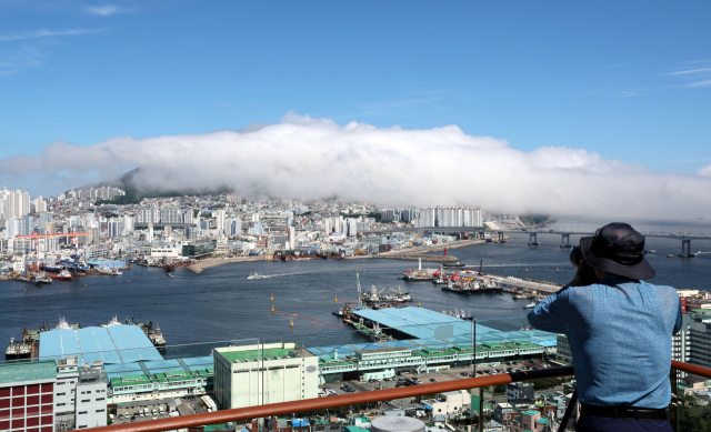 30일 오후 부산 서구 남부민동 산복도로에서 한 사진작가가 봉래산에 걸린 해무를 촬영하고 있다. 정종회 기자 jjh@