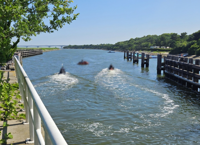 수상 오토바이 불법 운항 검거. 부산 해경 제공