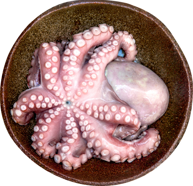 7월 이달의 수산물로 선정된 문어. 해수부 제공