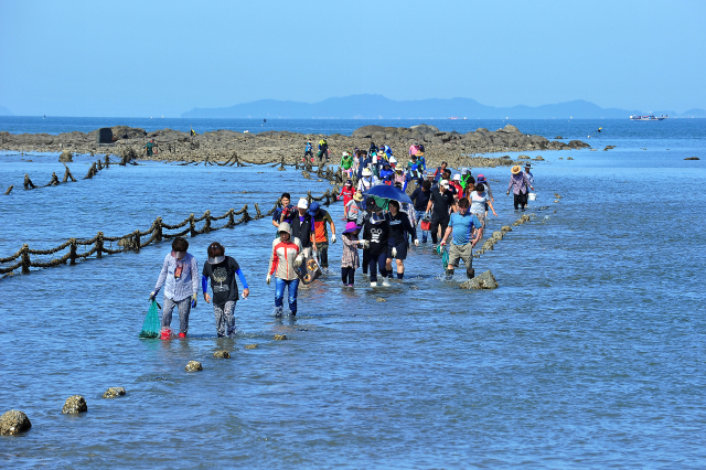 7월 이달의 어촌 여행지로 선정된 충남 보령 무창포 어촌체험휴양마을. 해수부 제공