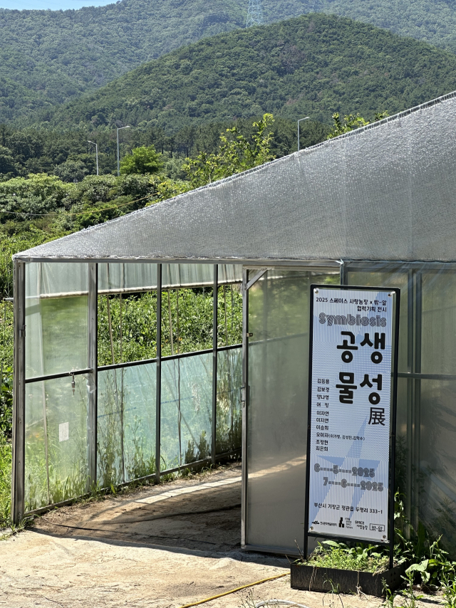 부산 기장군 정관읍 두명마을 밖_앝에서 열리고 있는 기획전 '공생물성' 전시장 입구 비닐하우스 모습. 김은영 기자