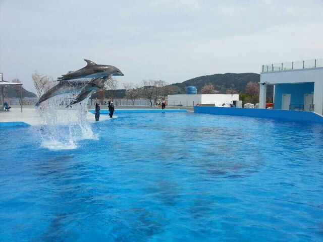 거제씨월드. 부산일보DB