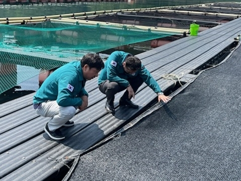 통영시 공무원들이 수심이 얕아 상대적으로 수온이 높은 도산면과 산양읍 연안 양식장을 중심으로 고수온기 대응 행정지도를 벌이고 있다. 통영시 제공