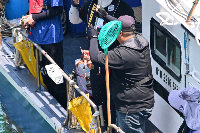 9일 한 낚시꾼이 문어를 건져 올리고 있다. 김현우 기자