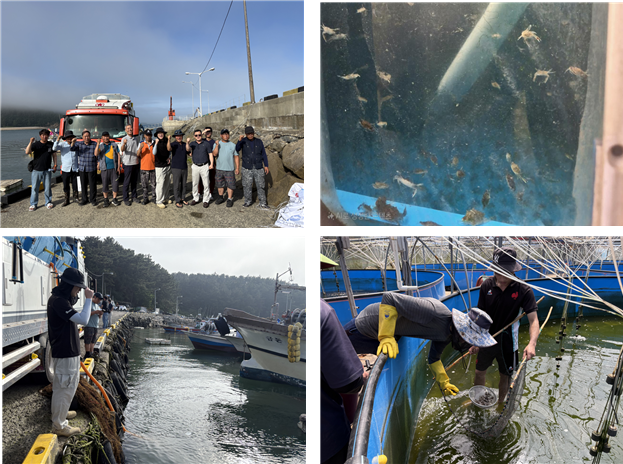 2025년 태안군 꽃게 산란서식장 조성사업 꽃게 매입 방류 현장 모습. 수산자원공단 제공