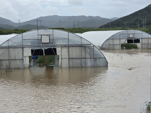 지난 19일 오후 전남 영광군 군서면 비닐하우스가 폭우에 침수돼 있다. 영광군 농업기술센터는 이날 벼·딸기 등 농작물 피해를 점검했다. 영남군 제공