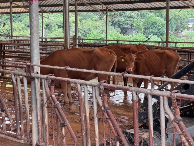 산사태가 발생한 산청군 산청읍 외부리마을 전경. 시간당 100mm가 넘는 폭우가 쏟아지면서 산사태가 이어졌다. 김현우 기자