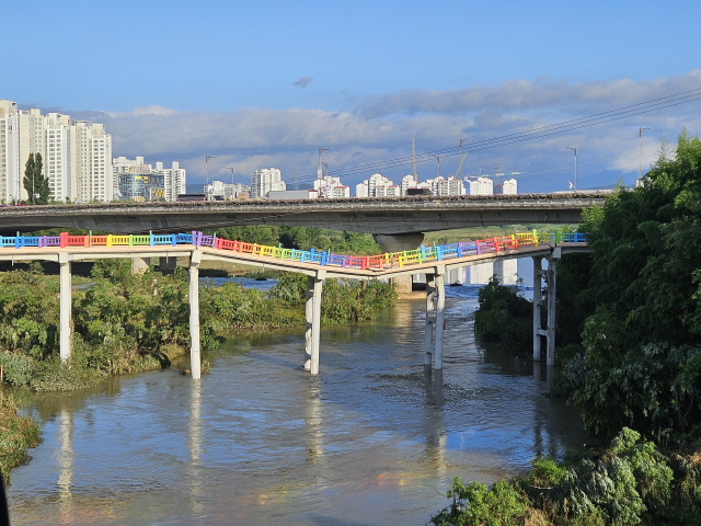 21일 울산 구 삼호교 일부 구간이 폭우로 내려앉아 있다. 울산시 제공