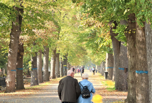 가을에는 환상적인 산책 코스가 되는 오스트리아 빈 중앙공동묘지. 남태우 기자