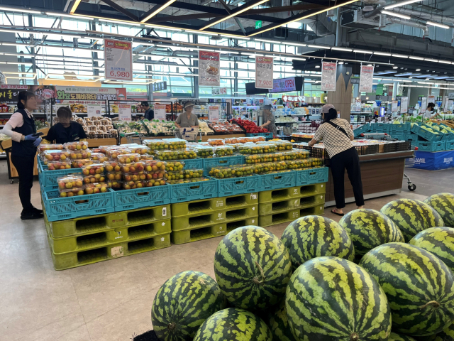 22일 오전 경남 김해농산물종합유통센터에서 주부들이 채소를 고르고 있다. 이경민 기자 min@