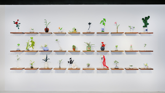 ‘순간의 모양: Glimpse of Summer’ 전시 전경. 사진은 니도이 작품. 신세계갤러리 제공