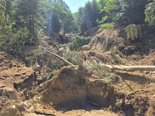 24일 오전 경남 산청군 산청읍 병정마을 내 산사태로 나무가 쓰러져 있다. 강대한 기자