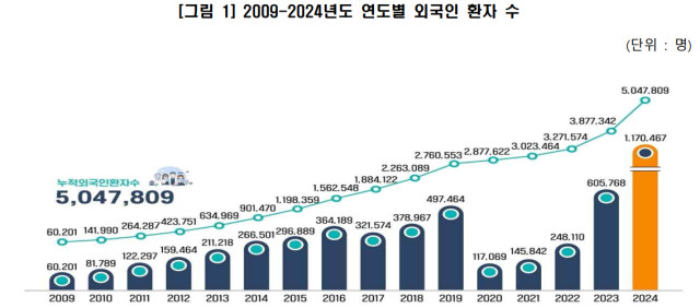 누적 외국인 환자 수 추이. 나람살림연구소 제공