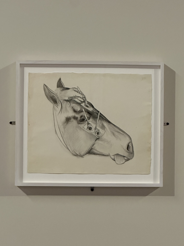 힐마가 종이에 흑연으로 그린 ‘말의 대가리를 그린 습작’(1900~1901). 김은영 기자 key66@