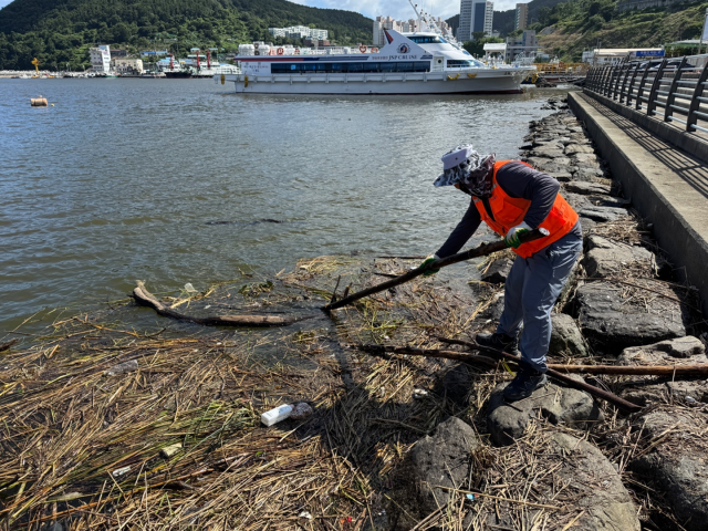 거제 해양쓰레기