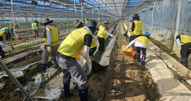 한전KDN, 지역사회 집중호우 피해 극복 지원 자원봉사 모습. 한전KDN 제공