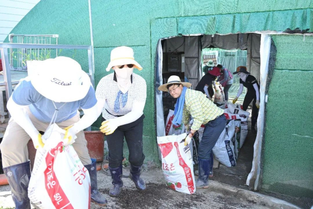 변광용 거제시장은 30일 간부공무원, 거제해양관광개발공사 직원 등 70여 명과 함께 산청군 신등면 남단마을과 삼장면 홍계상촌마을에서 복구 작업에 구슬땀을 흘렸다. 거제시 제공
