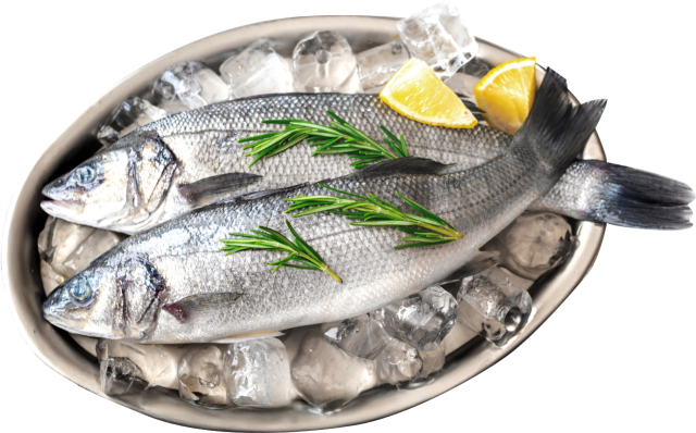 8월 이달의 수산물로 선정된 농어. 해수부 제공