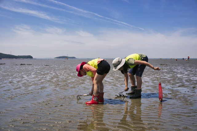 8월 이달의 어촌으로 선정된 경기 안산 흘곶마을. 해수부 제공