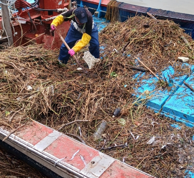 거제시 연안이 지난 집중호우 때 떠밀려 온 각종 해양 쓰레기로 몸살을 앓고 있다. 지역 어민들이 어선을 동원해 쓰레기를 수거하고 있다. 낙동강어업피해대책위원회 제공