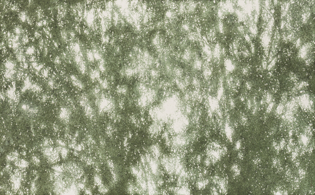 이주희, 마음이 자라나는 순간, 2025. 카린갤러리 제공