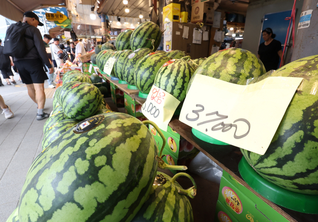최근 수박값이 크게 오른 가운데 3일 서울 청량리종합시장에 수박이 진열돼 있다. 연합뉴스