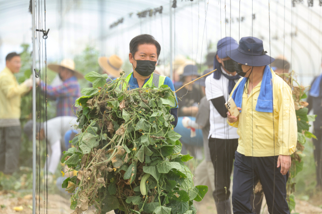 정청래 신임 더불어민주당 대표가 3일 오전 전남 나주시 노안면 오이 농가를 찾아 수해 복구 작업을 하고 있다. 연합뉴스