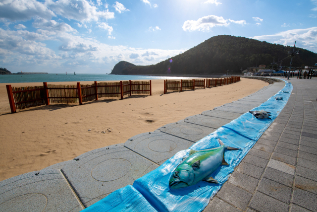 부산 다대포 동쪽 해안 모습. 사하구청 제공