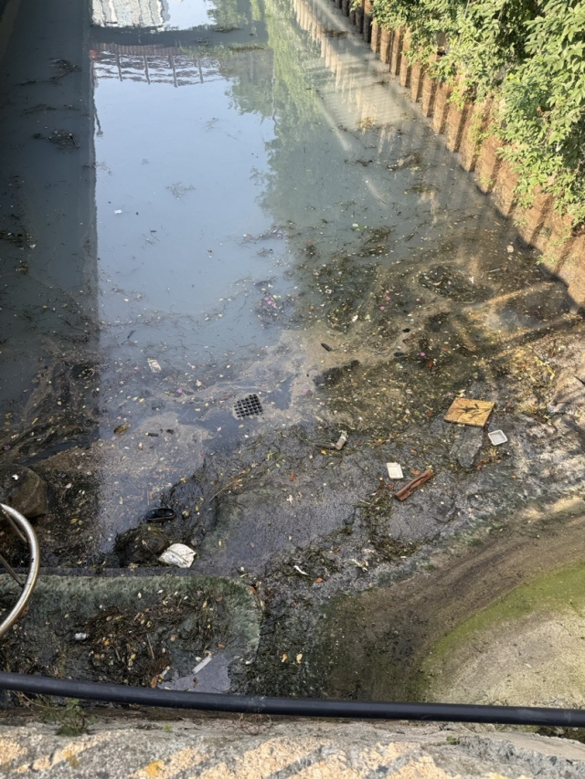 부산 남구 용호동 일원에 자리한 용호천이 오폐수와 오염 퇴적물로 악취를 내뿜고 있다. 독자 제공