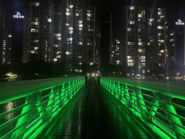 회야강을 가로지르는 교량에 설치된 경관 조명 전경. 양산시 제공