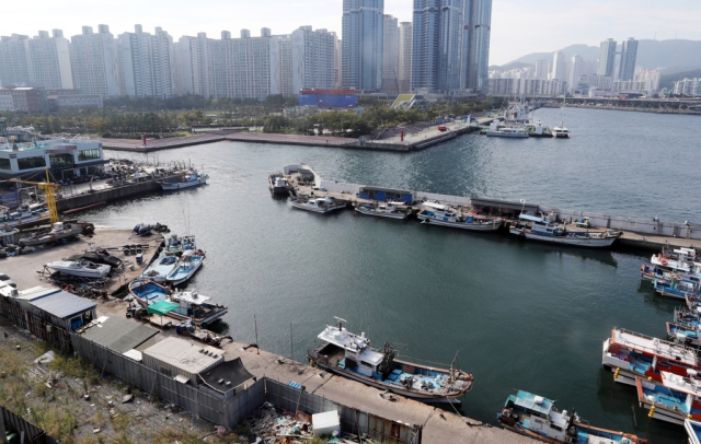 부산시 남구 용호만 일대. 부산일보 DB