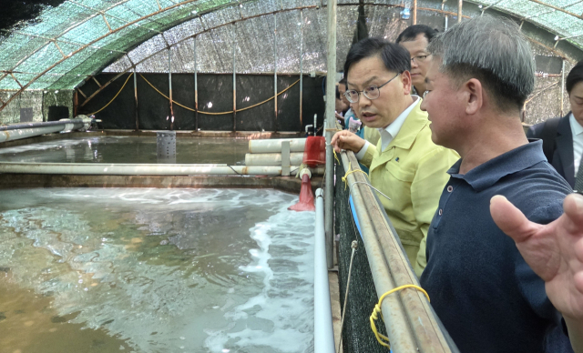 김성범 해양수산부 차관은 지난 5일 경북 포항에 있는 육상 강도다리 양식장을 방문해 고수온 대응현장을 점검하고 어업인 노고를 격려했다. 해수부 제공