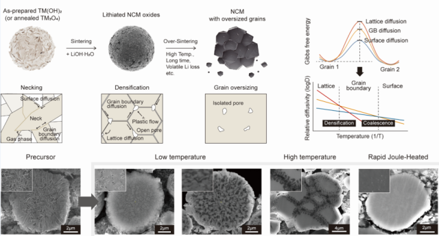 기존 소결 과정 및 급속 줄 가열을 통한 소결의 하이니켈 양극재의 미세구조 변화 및 소결 동역학 모식도. 소결 과정에서 입자의 형상이 변해가는 과정을 도식화한 그림. 기존의 소결 방식에서는 입자가 비대하게 커지고 내부에 기공을 남기는 문제가 존재함. 급속 줄 가열 방식을 활용해 치밀화된 입자를 형성시킬 수 있었음. UNIST 제공