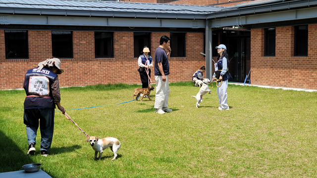경남 창원시 성산구 펫빌리지 반려동물 문화센터에서 ‘반려동물이 유기견과 함께 하는 댕댕이 교실 교육’을 받고 있다. 창원시 제공