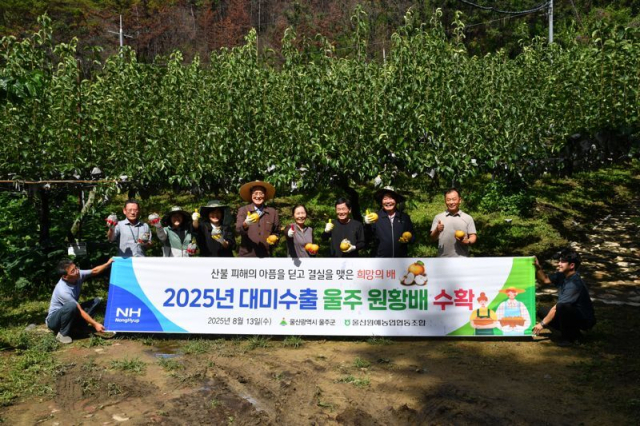 울산의 대표 특산물 ‘울주 햇배’가 산불과 냉해 등 이상기후를 이겨내고 미국 수출길에 오른다. 사진은 울주군과 울산원예농협 등이 온양읍 운화리 한 과수원에서 울주 햇배인 원황배를 수확한 뒤 기념 촬영한 모습. 울주군 제공
