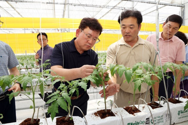 이승돈 신임 농촌진흥청장이 8월 17일, 취임 첫 행보로 가을 작기를 시작한 시설 토마토재배 농가를 방문해 토마토뿔나방 방제 상황을 점검하고 있다. 농촌진흥청 제공