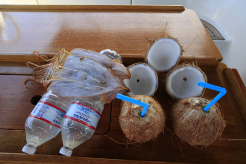 항해 중에는 잘 먹어야 한다는 생각으로 준비한다. 김영애 제공