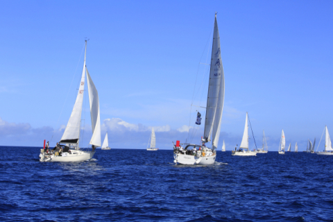 요트들이 푸른 바다 위를 달리고 있다. 김영애 제공