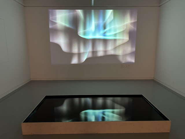 전시장 내 아크릴 수조에 비친 영상 그림자. 김은영 기자 key66@