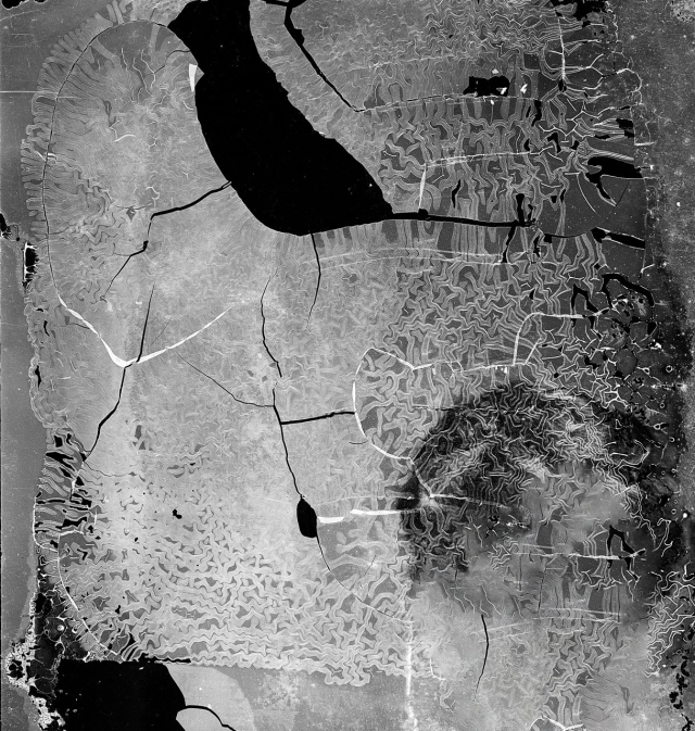 박남사, 파티나. 부산갤러리 제공