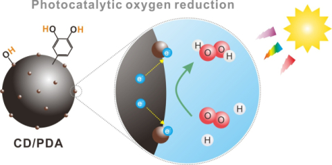 친환경 과산화수소 생산용 카본닷-폴리도파민 이종접합 광촉매 이미지