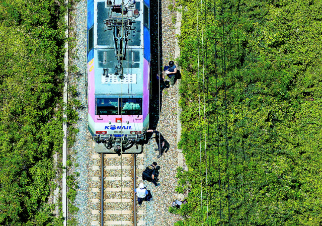19일 사망 사고가 발생한 경북 청도군 화양읍 인근 철로에서 경찰과 소방 관계자들이 사고 열차를 조사 하고 있다. 연합뉴스