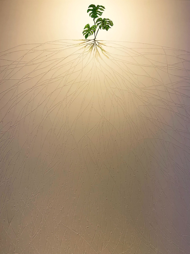 배하람, 뿌리 깊은 상처, 2023. 레오앤 갤러리 제공