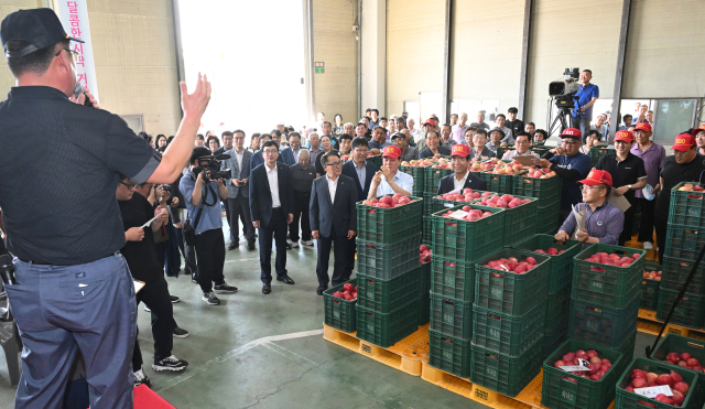 이날 초매식에서는 도지사·군수·사과원예농협 조합장이 직접 중도매인 역할을 맡아 사과 경매 시연을 펼치기도 했다. 거창군 제공
