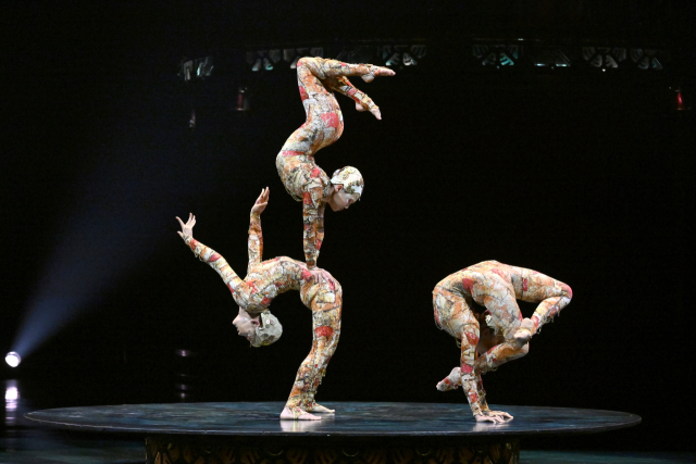 컨토션 기술의 새로운 경지를 보여준 '컨토션' 액트. 박희진 사진가 제공