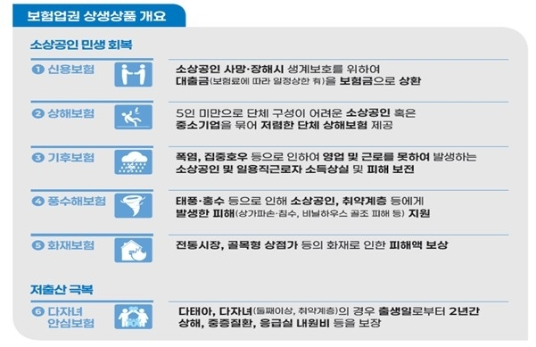보험업권 상생상품 개요. 금융위 제공
