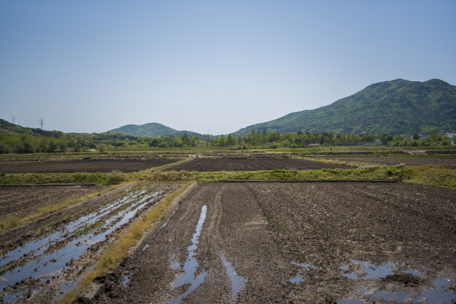위 사진은 기사와 직접적인 연관 없음. 이미지투데이