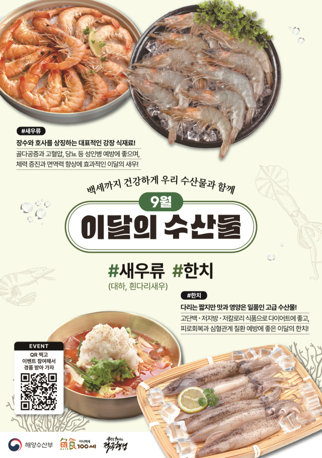 9월 이달의 수산물( 새우류·한치) 포스터. 해수부 제공