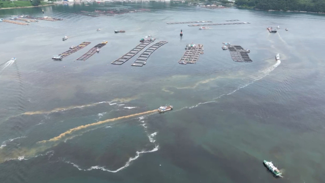 통영시는 관내 전 해역에 적조 주의보가 발령됨에 따라 적조 확산 차단과 어업인 피해 예방을 위해 선제 대응에 나섰다. 황토를 실은 어선들이 양식장 주변을 돌며 방제 작업을 벌이고 있다. 통영시 제공