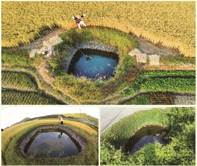 고성군 해안 지역에 산재한 둠벙. 둠벙은 하천이 발달하지 못한 해안지역에서 농사에 필요한 최소한의 용수 확보를 위해 만든 물웅덩이다. 부산일보DB